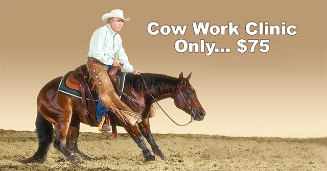 cow-work-clinic640